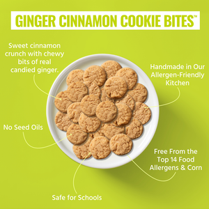 Ginger Cinnamon Cookie Bites